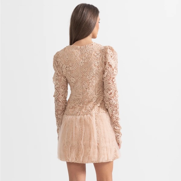 NWT Sierra Darien Elegant Lace Long Sleeve Dress in Cream M - Picture 4 of 8